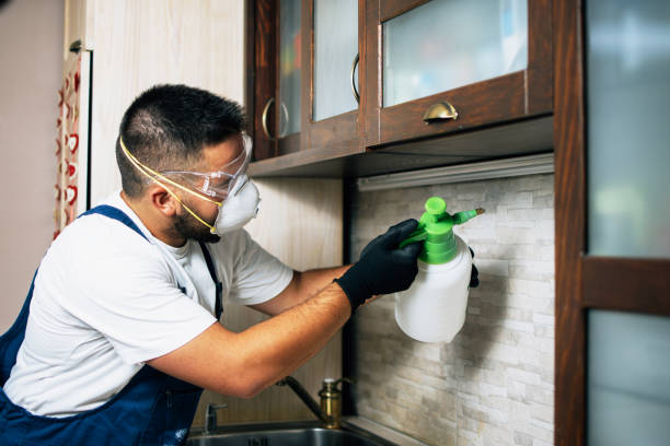 Wildlife Control Services in Brookmont, MD