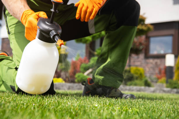 Best Cockroach Control Services  in Brookmont, MD